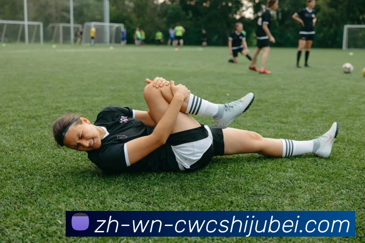 世界杯买球服务体系